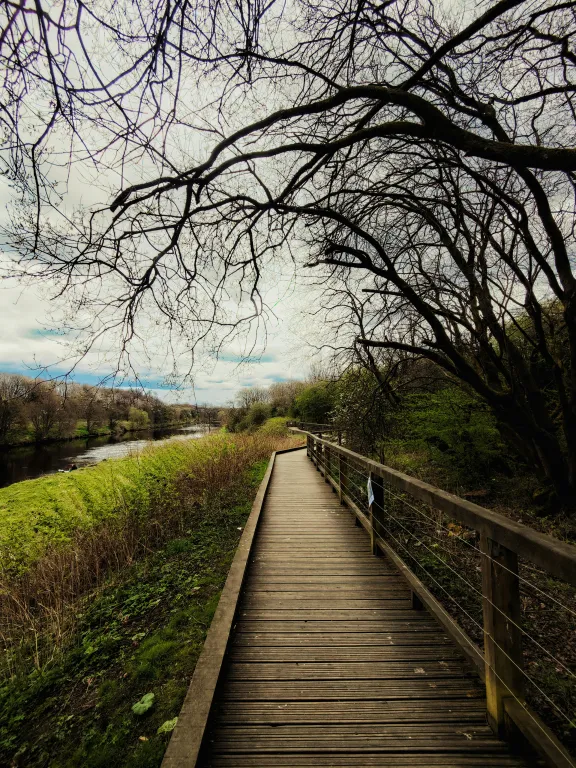 Photo by Vishnu Prasad on Unsplash